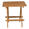 Bois le Duc Tuintafels>Tafel picknick Hilde teak