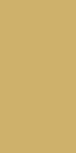 Duni Koken & Tafelen|Woondecoratie>Tafelkleed 138x280 XXL gold