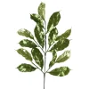 Kerstdecoratie>Tak blad groen 75 cm