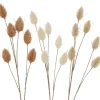 Boltze home Kunstplanten En Kunstbloemen>Tak Fluweelgras 72 cm 3 kleuren