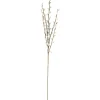 O'malley Kunstplanten En Kunstbloemen>Tak katjes grijs 70 cm