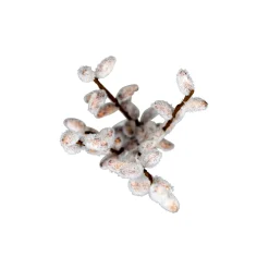 O'malley Kunstplanten En Kunstbloemen><noscript><img width=
