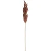 Kunstplanten En Kunstbloemen>Tak pampasgras bruin 82 cm