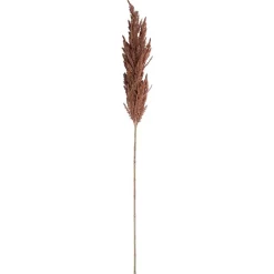 Kunstplanten En Kunstbloemen>Tak pampasgras bruin 82 cm