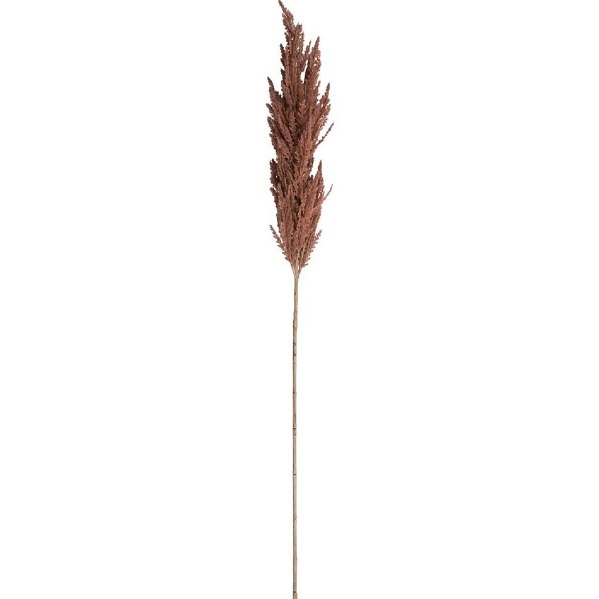Kunstplanten En Kunstbloemen>Tak pampasgras bruin 82 cm