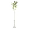 Kunstplanten En Kunstbloemen>Tak Sofie 70 cm groen