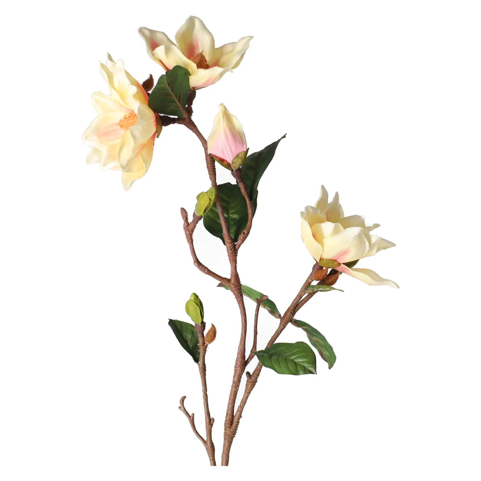 O'malley Kunstplanten En Kunstbloemen>Tak Yulan 103 cm beige