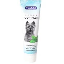 Friendly Pet Hondenverzorging>Tandpasta met mint 100 ml