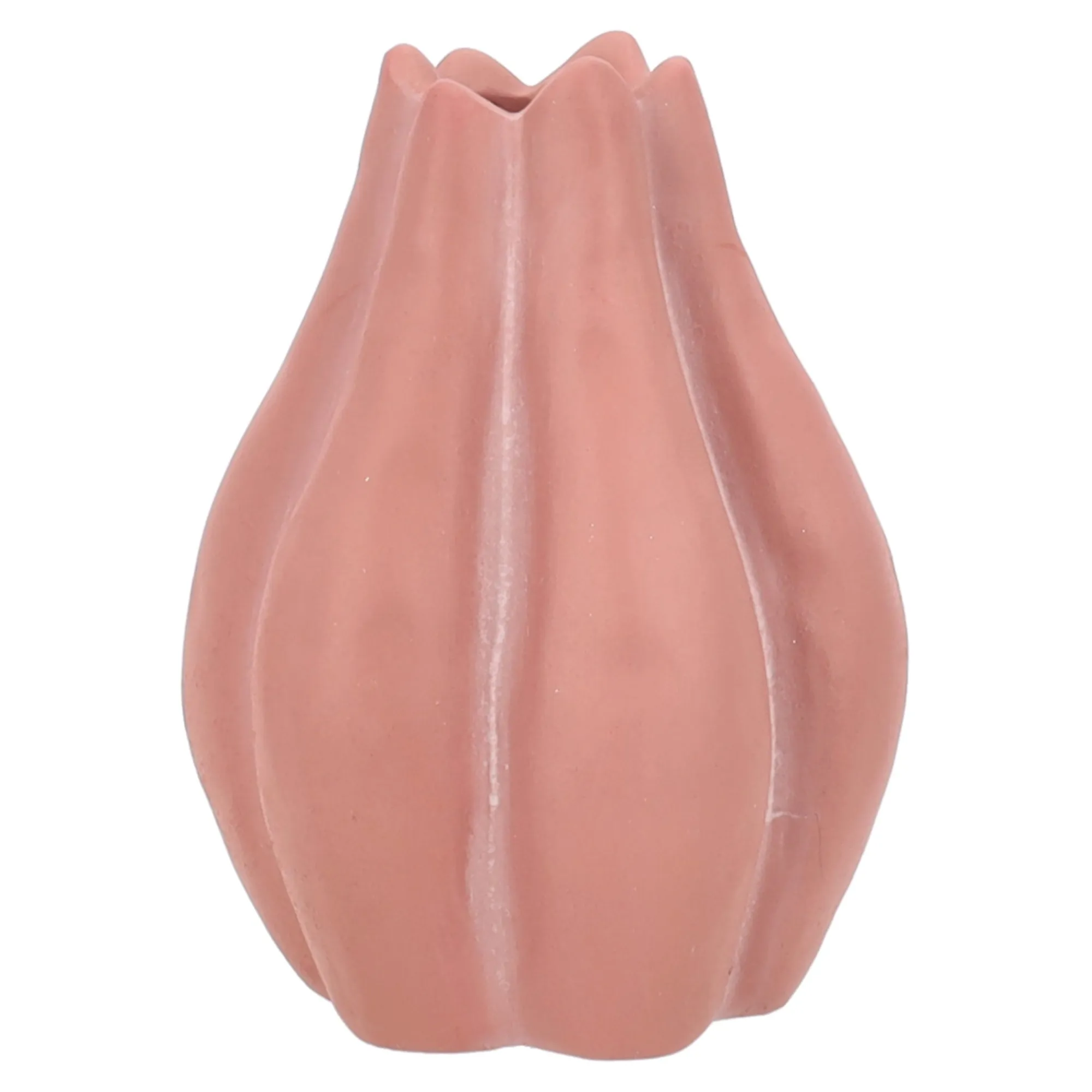 Van Cranenbroek Vazen En Potten>Vaas Futi 18cm roze