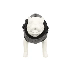Friendly Pet Hondenjas><noscript><img width=