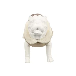 Friendly Pet Hondenjas><noscript><img width=