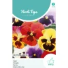 Horti Tops Moestuin>Viooltjes Aalsmeerse Reuzen