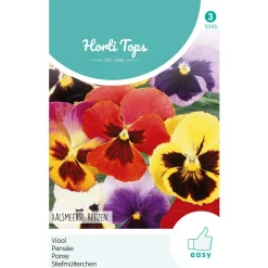 Horti Tops Moestuin>Viooltjes Aalsmeerse Reuzen