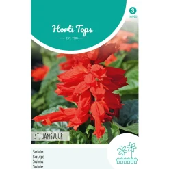 Horti Tops Moestuin>Vuursalie St. Jansvuur