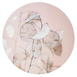 Natural Collections Woondecoratie>Wanddecoratie rond 38 cm