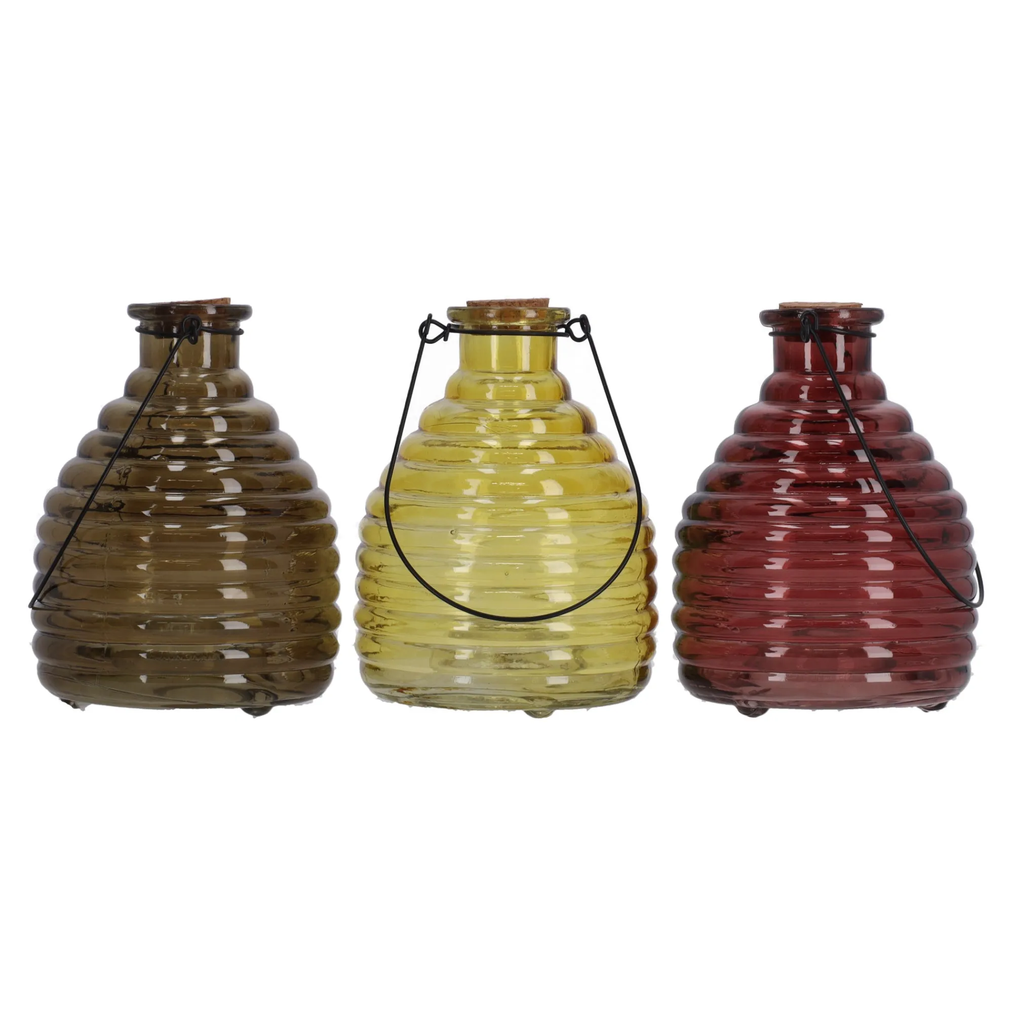 Decoris Schoonmaken>Wespenvanger van glas 17 x 13 cm 4 assorti