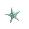 Natural Collections Woondecoratie>Zeester 19 cm blauw, 2 assorti