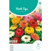 Horti Tops Moestuin>Zinnia Thumbelina laag mix