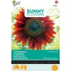 Buzzy Moestuin>Zonnebloem Avondzon