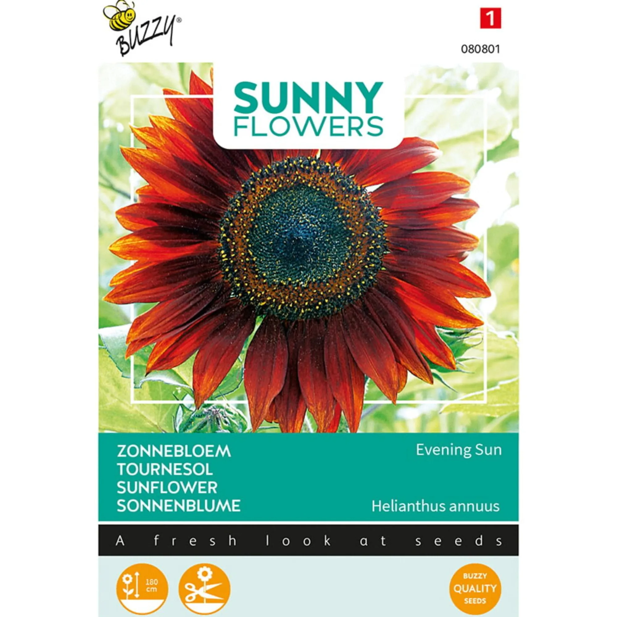Buzzy Moestuin>Zonnebloem Avondzon