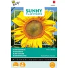 Buzzy Moestuin>Zonnebloem Henry Wilde