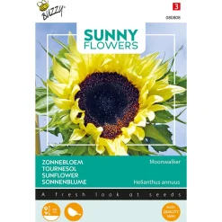 Buzzy Moestuin>Zonnebloem Moonwalker