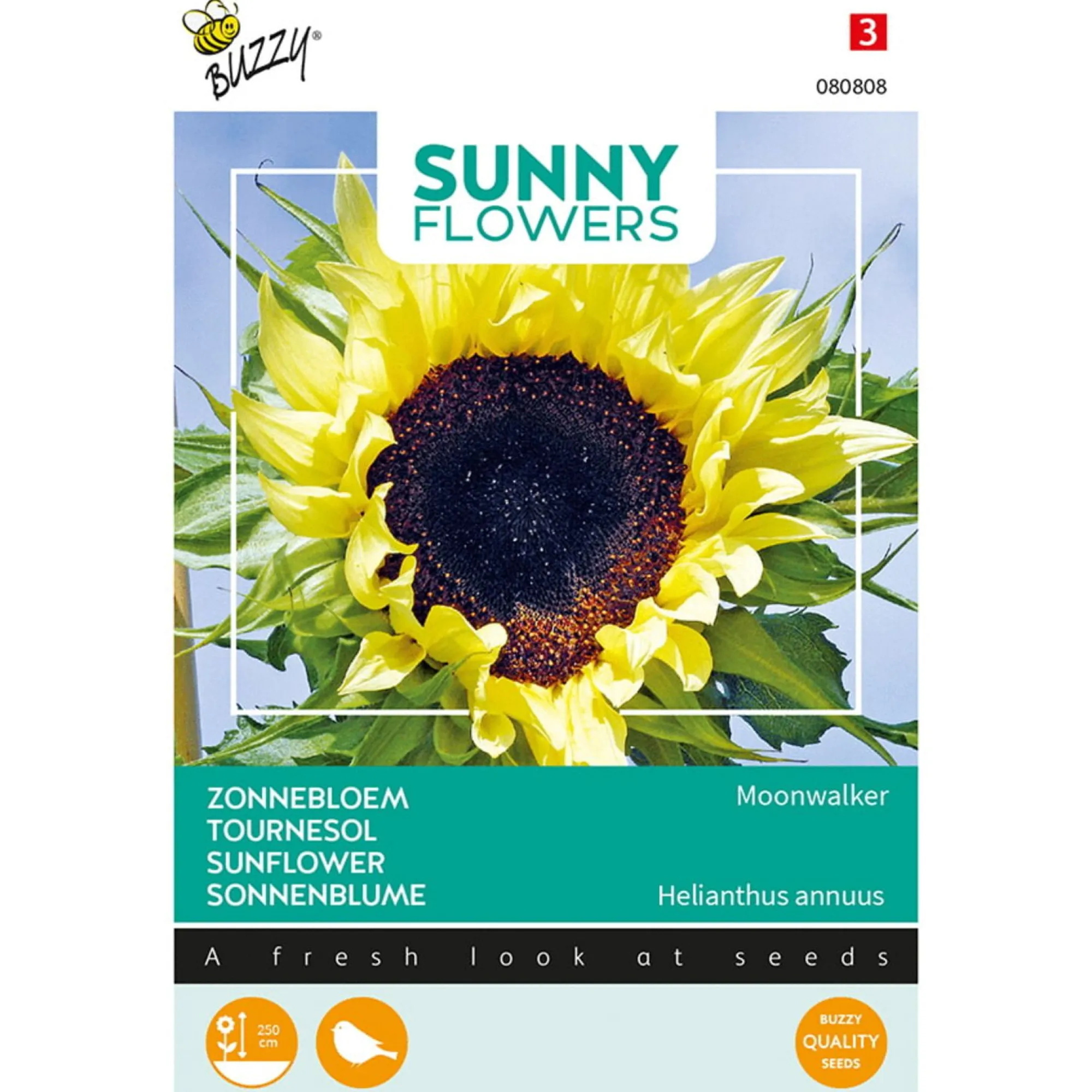 Buzzy Moestuin>Zonnebloem Moonwalker