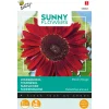 Buzzy Moestuin>Zonnebloem Moulin Rouge