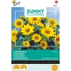 Buzzy Moestuin>Zonnebloem Pacino Gold